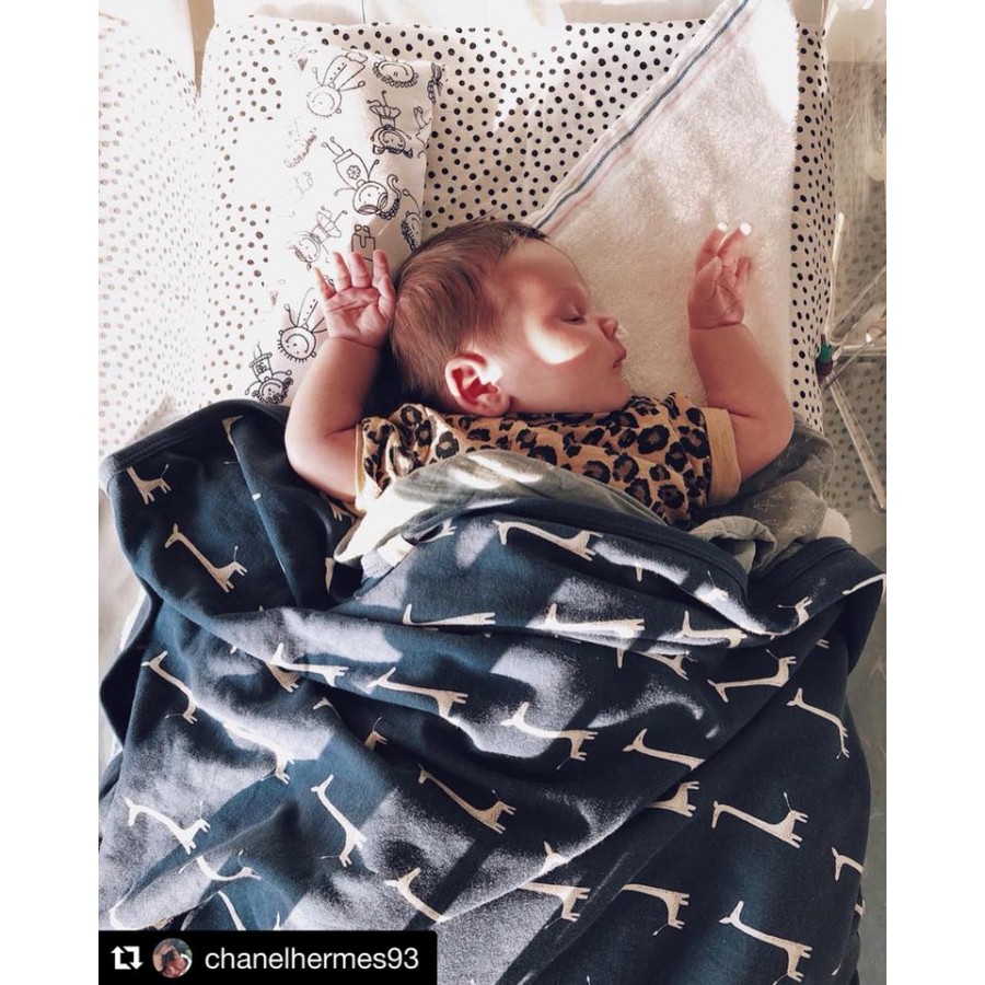 Fresk - Kocyk z bawełny organicznej 80 x 100 cm Kłos - Esy Floresy 