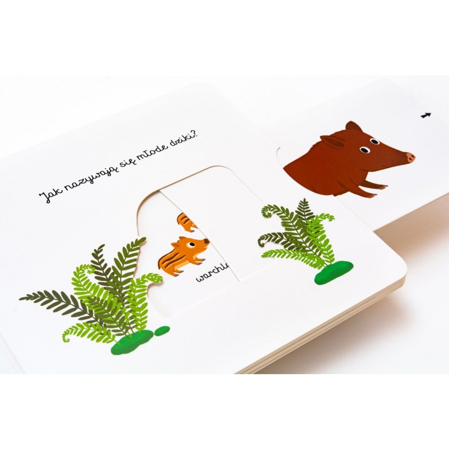 W lesie. Akademia mądrego dziecka. Pierwsze słowa - Esy Floresy 