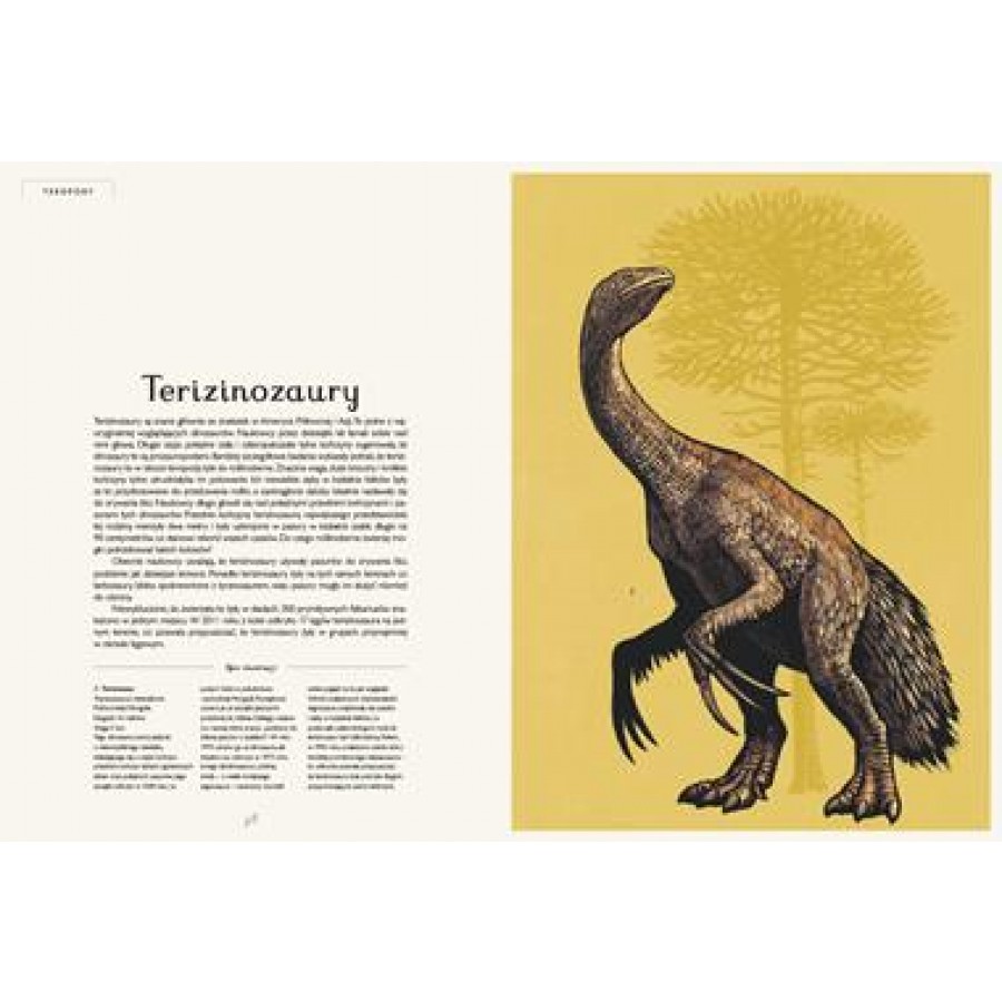 Dinozaurium. Muzeum dinozaurów - Esy Floresy 