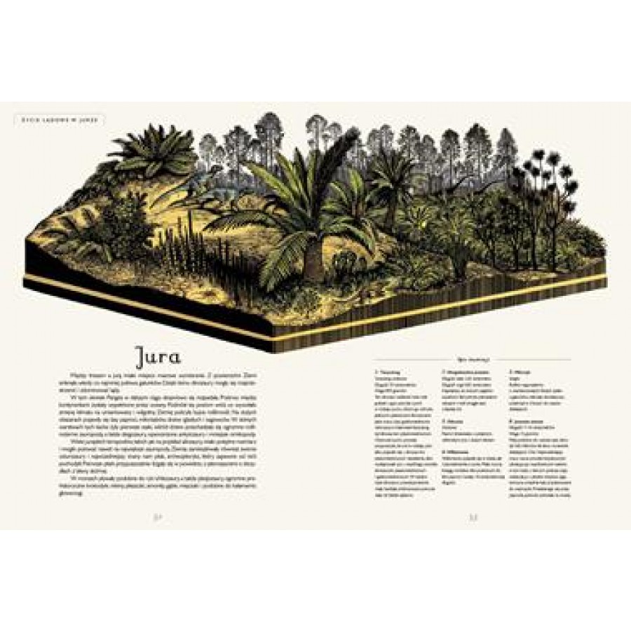 Dinozaurium. Muzeum dinozaurów - Esy Floresy 